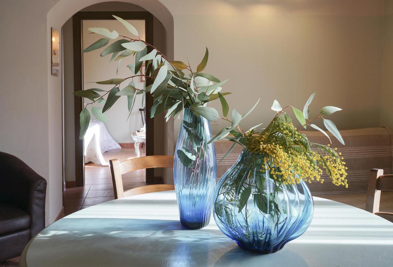 Locanda Degli Alberi 萨塞塔 外观 照片