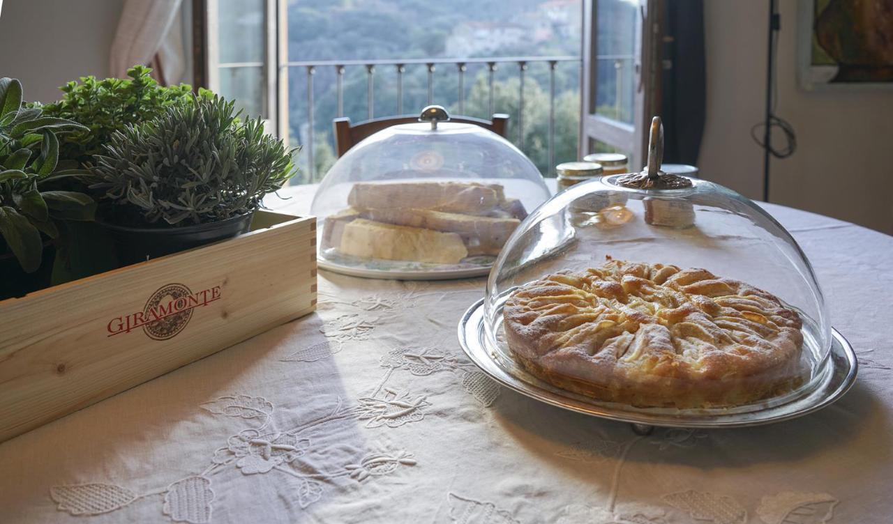 Locanda Degli Alberi 萨塞塔 外观 照片