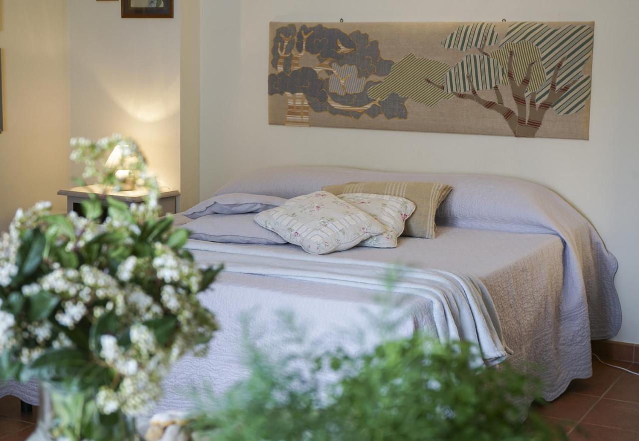 Locanda Degli Alberi 萨塞塔 外观 照片